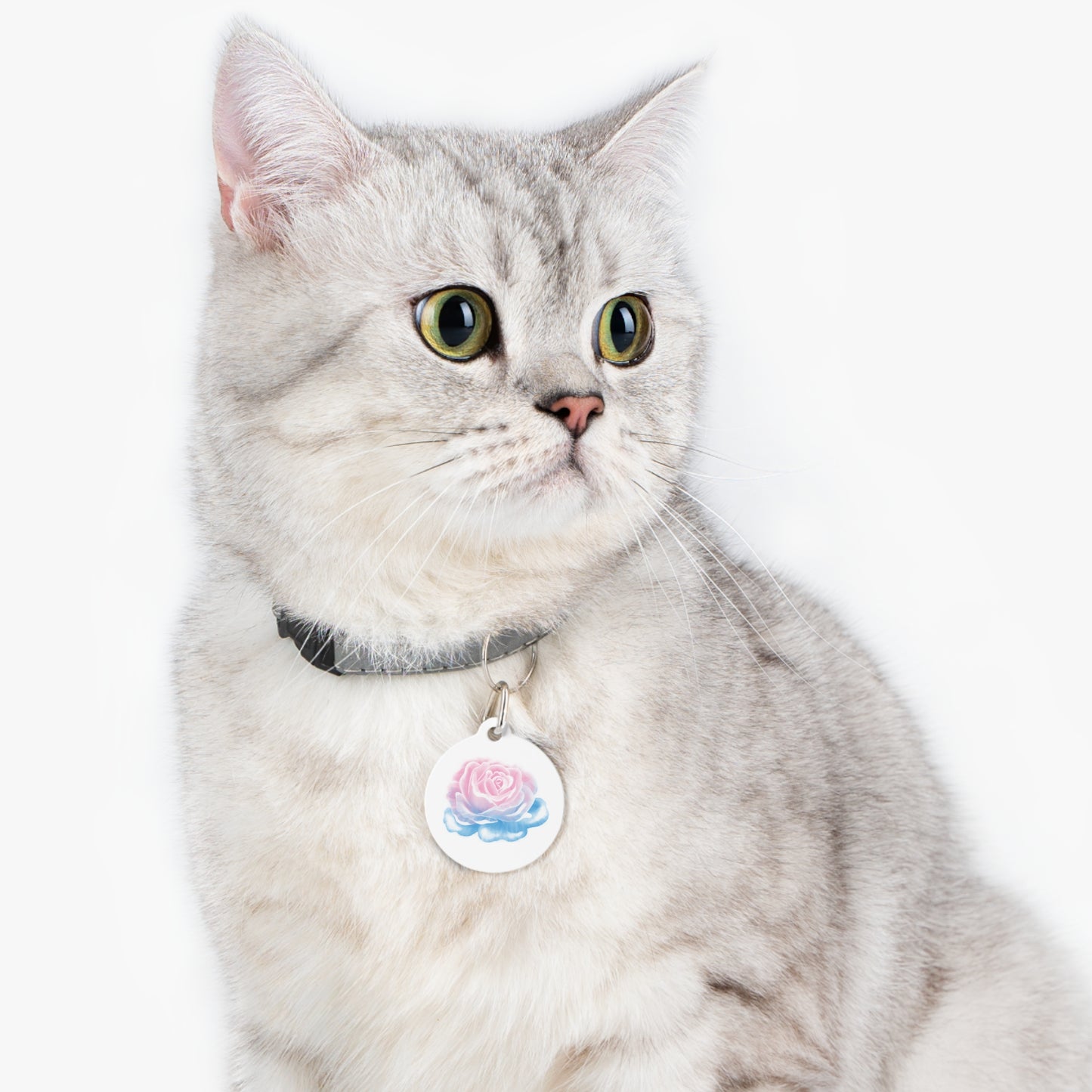 Trans Pride Rose Pet Tag / Keychain Charm