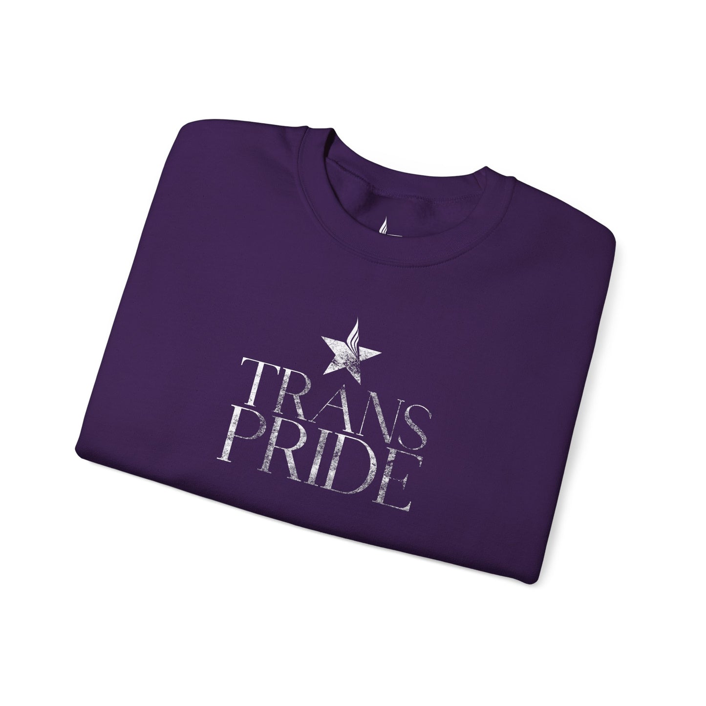 Trans Pride Crewneck Sweatshirt
