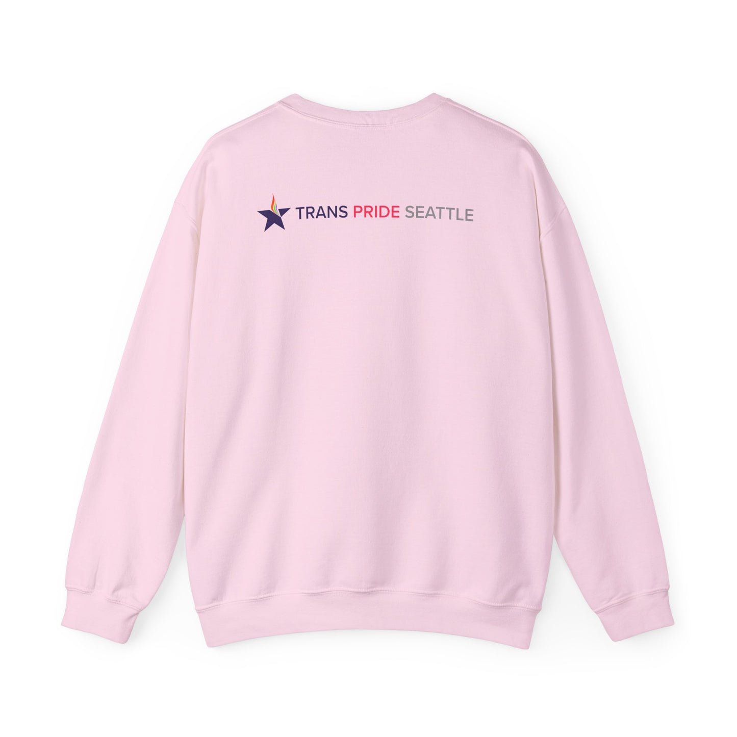 Trans and Ungovernable Crewneck Sweatshirt